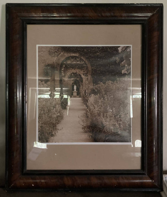 Framed Photograph of a Garden