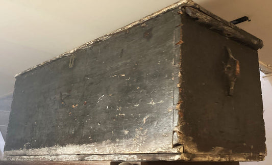 Trunk